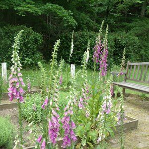 Meet your Posher, Jane